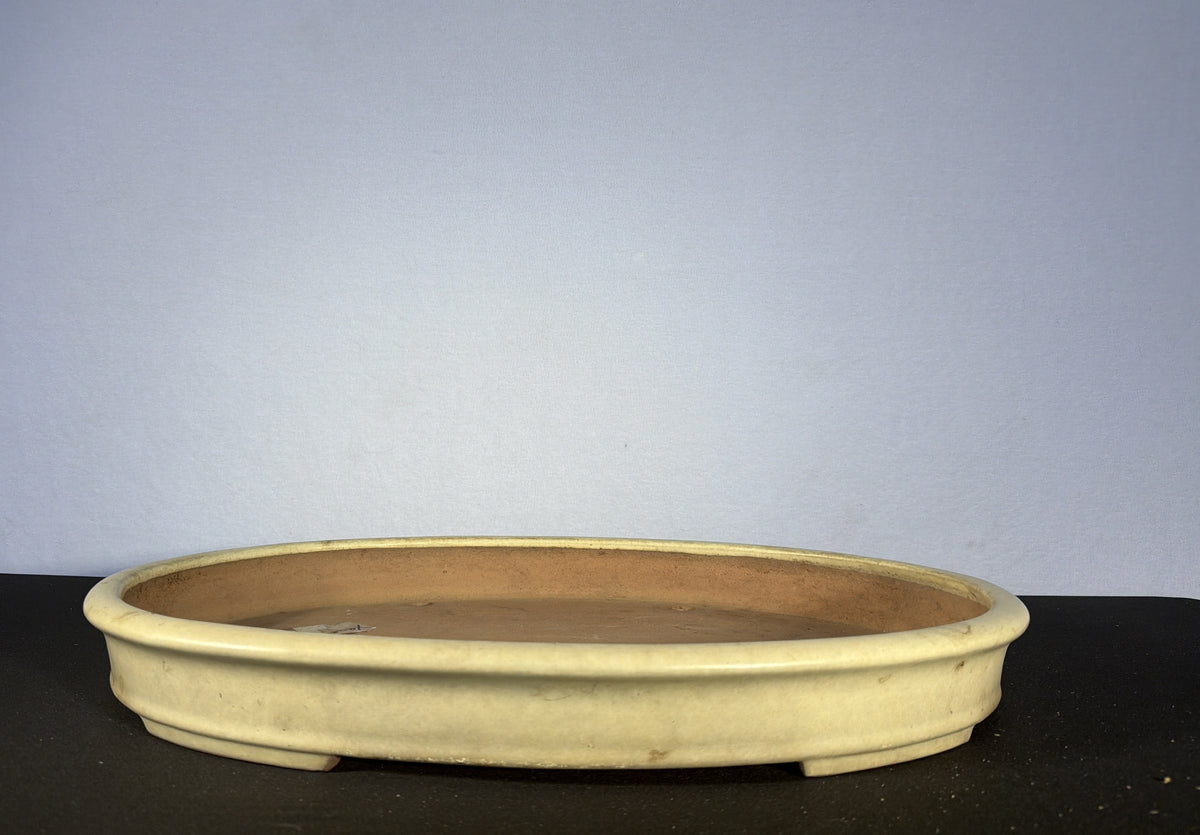 28x19x3 Inch Yamaaki Oval Bonsai Pot – Pale Cream, Wide and Shallow