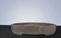 16x12x2.5 Inch Suishouen Oval Bonsai Pot – Grey-Brown Clay, Shallow Profile