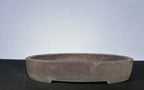 16x12x2.5 Inch Suishouen Oval Bonsai Pot – Grey-Brown Clay, Shallow Profile