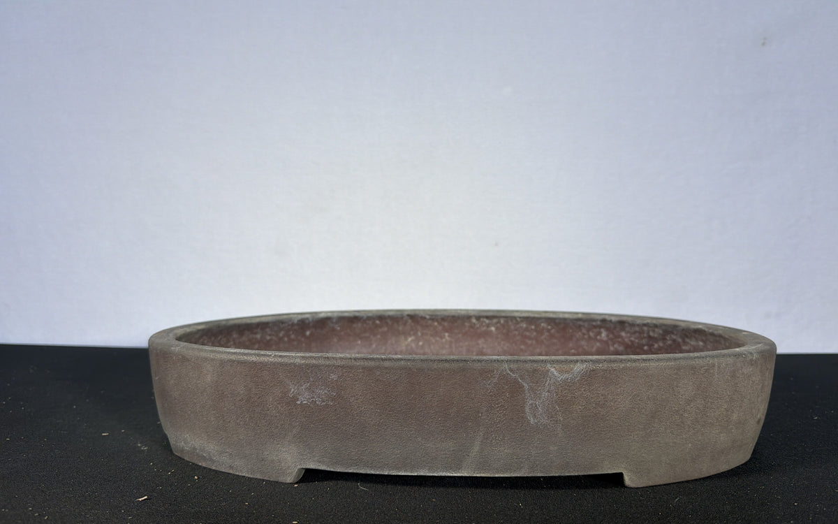 16x12x2.5 Inch Suishouen Oval Bonsai Pot – Grey-Brown Clay, Shallow Profile