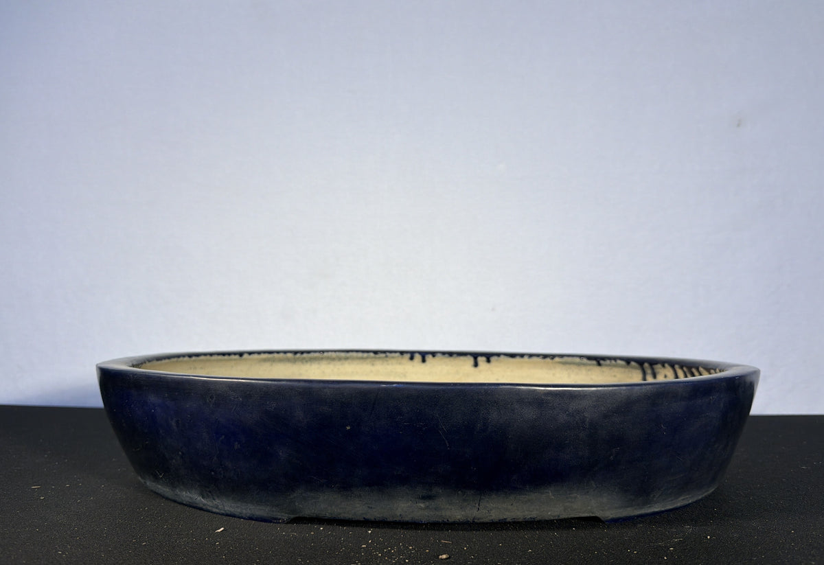 19.5x16x3.5 Inch Koyo Oval Bonsai Pot – Navy Blue Glaze, Signed and Sealed Base