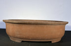 22x17x6.5 Inch Itayama Oval Bonsai Pot – Unglazed Red-Brown Clay, Deep Profile