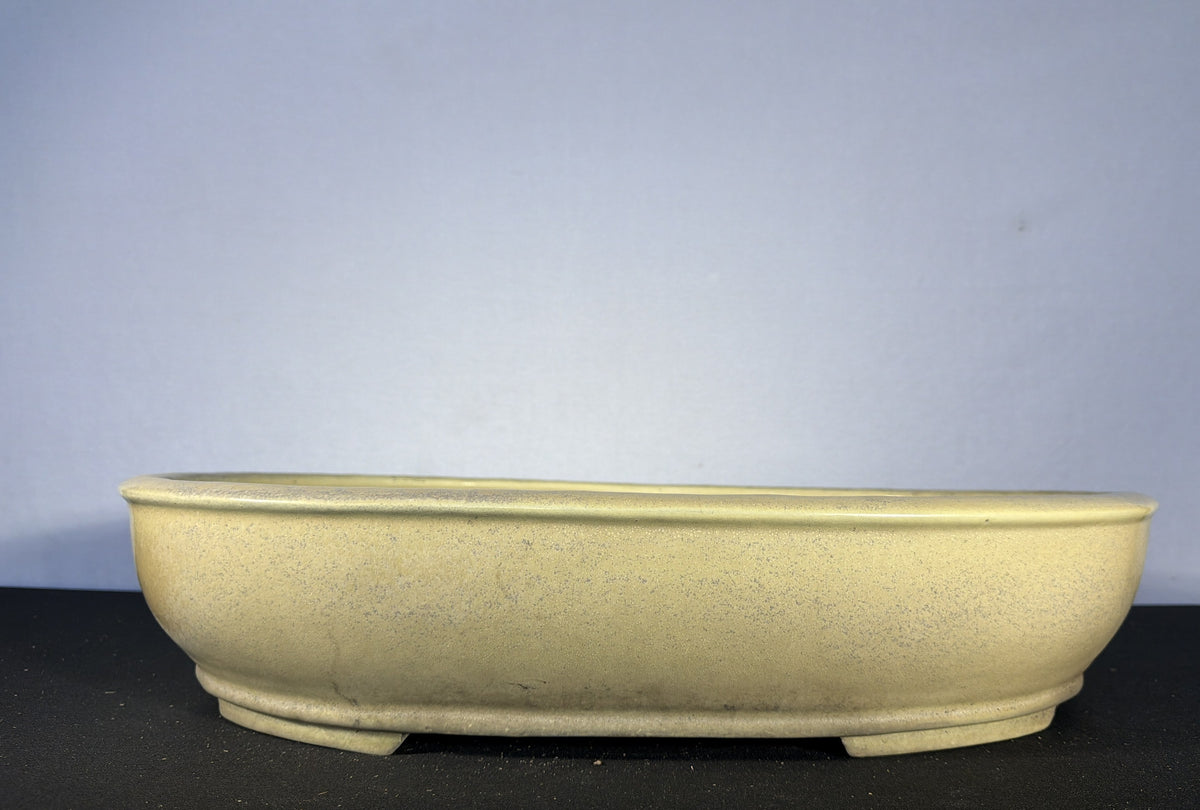 23x18x5 Inch Shuhou Oval Bonsai Pot – Speckled Cream Glaze, Incised Signature