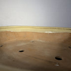 Shuhou speckled cream oval bonsai pot
