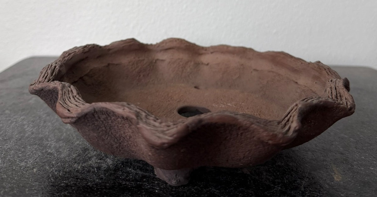 Ryugaku free-form round bonsai pot, angled view