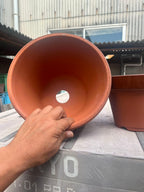Tokoname Unglazed Training Pot — High-Fired Japanese Terra Cotta