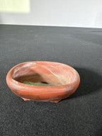 Bunzan mame oval, underside