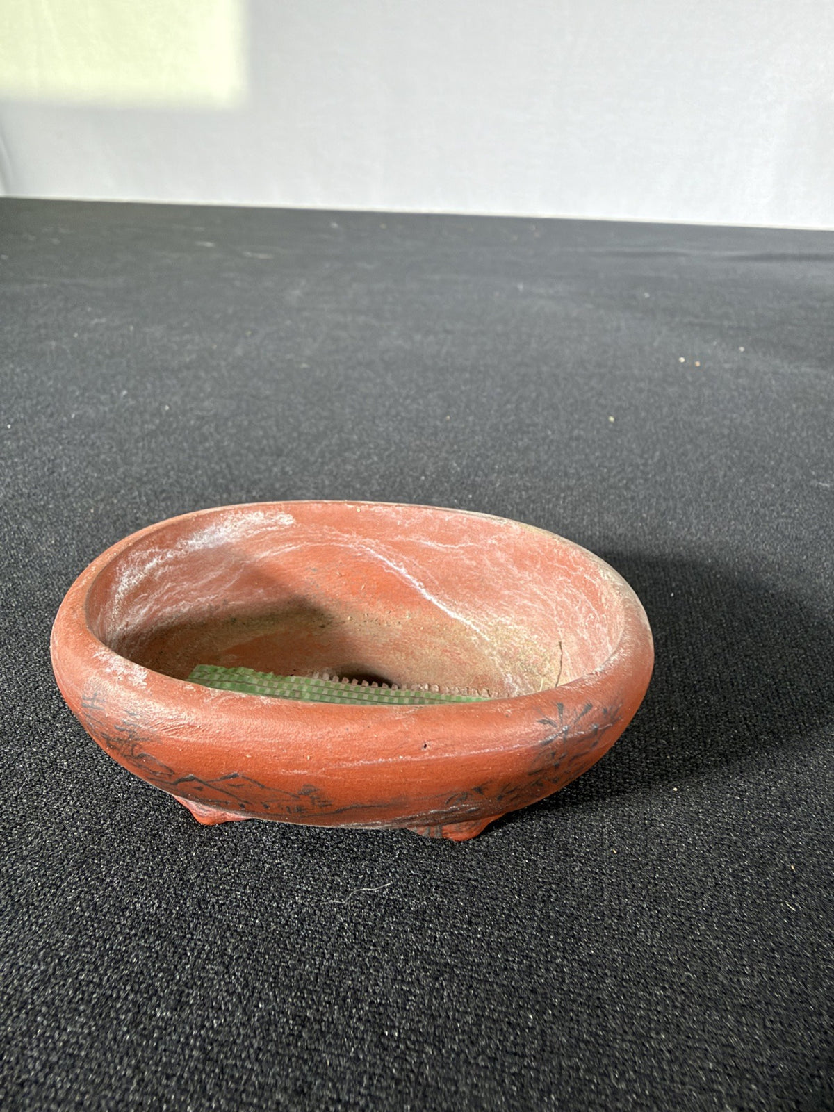Bunzan mame oval, underside