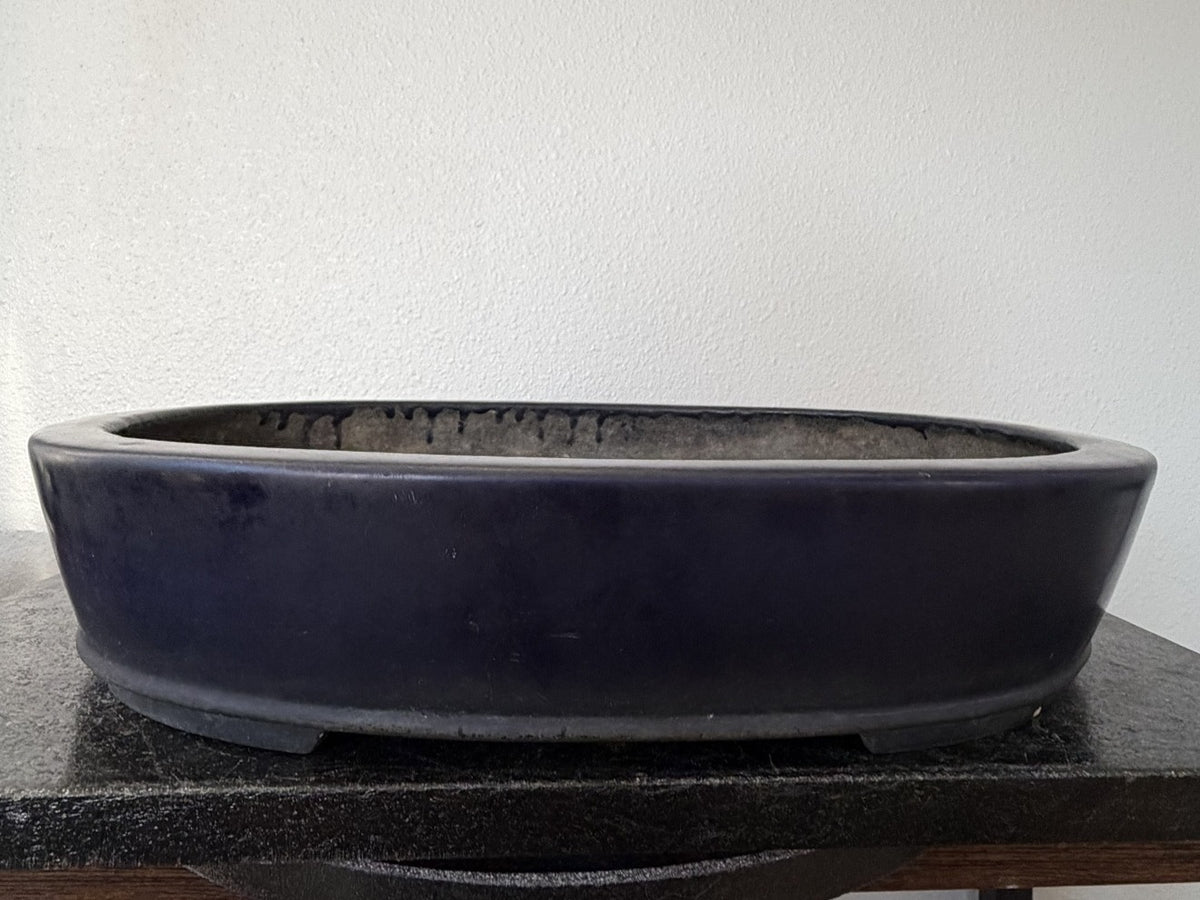 Koyo Ruri Blue Oval Bonsai Pot, vintage Tokoname