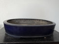 Koyo Ruri Blue Oval Bonsai Pot, vintage Tokoname