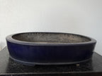 Koyo Ruri Blue Oval Bonsai Pot, vintage Tokoname