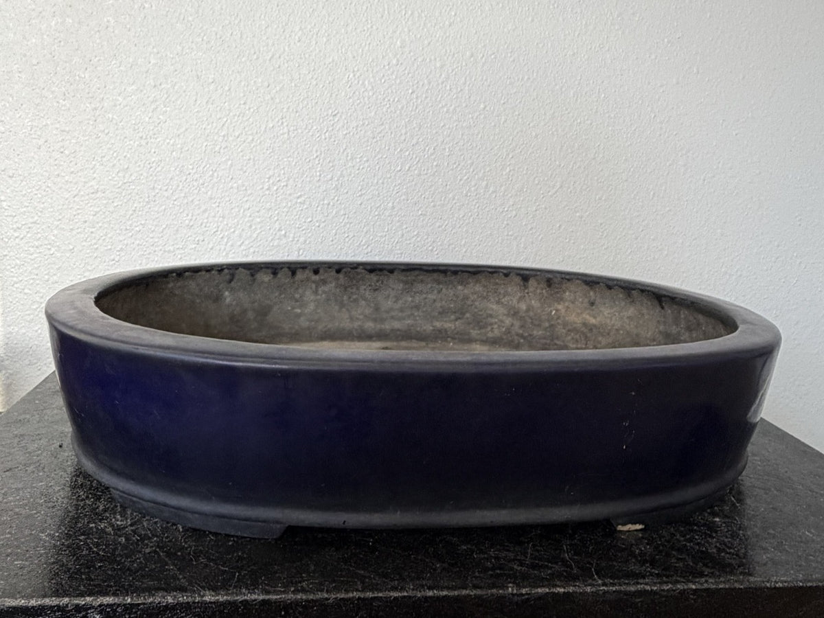 Koyo Ruri Blue Oval Bonsai Pot, vintage Tokoname