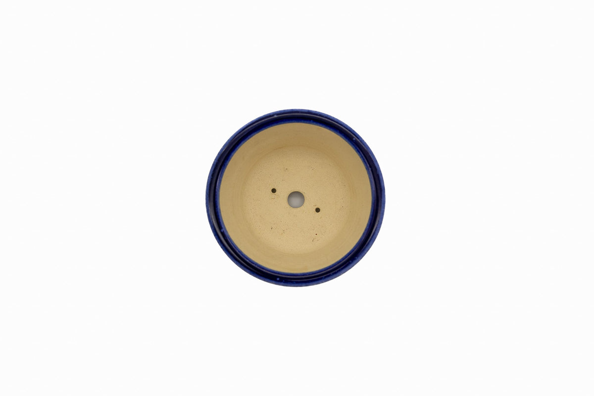 Small Round Ruri Blue Glazed Japanese Bonsai Pot – Biko Kiln, Medallion Chop, Competition Quality, Square Cut Feet